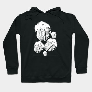 Trilobite tshirt and fun paleontology gift idea Hoodie